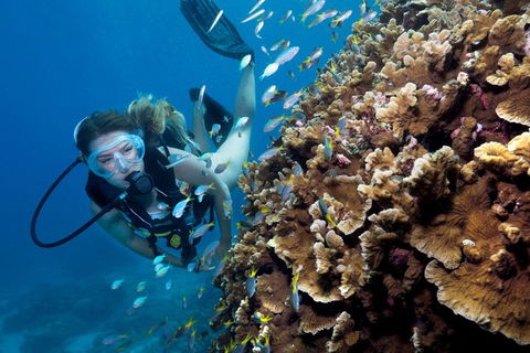 Great Barrier Reef Diving And Snorkeling Cruise From Cairns - Darwin Holiday 1