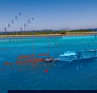 Ocean Free Green Island  Great Barrier Reef Snorkel Cruise Cairns 25 guests - Darwin Holiday