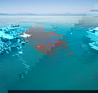 Ocean Freedom Great Barrier Reef Personal Luxury Snorkel  Dive Cruise Cairns - Darwin Holiday