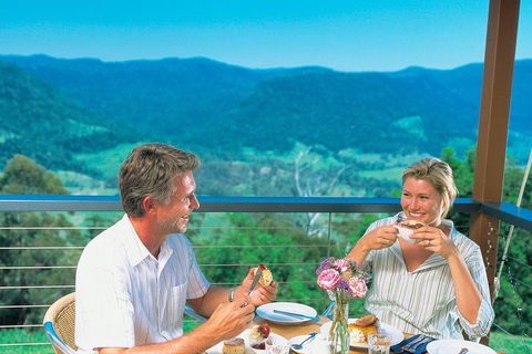 Brisbane Day In The Country Full-Day Small-Group Tour With Lunch - Darwin Holiday 0