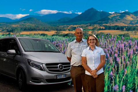 Brisbane Day In The Country Full-Day Small-Group Tour With Lunch - Darwin Holiday 4