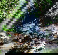 Full Day Small Group Luxury Tour to Tamborine Mountain - Darwin Holiday