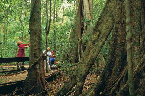 Full Day Small Group Luxury Tour To Tamborine Mountain - Darwin Holiday 1