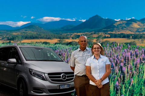 Full Day Small Group Luxury Tour To Tamborine Mountain - Darwin Holiday 3