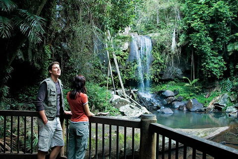 Full Day Small Group Luxury Tour To Tamborine Mountain - Darwin Holiday 4