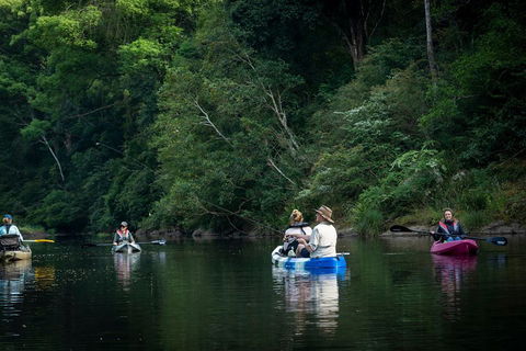 Byron Bay Rainforest Fishing - Darwin Holiday 2