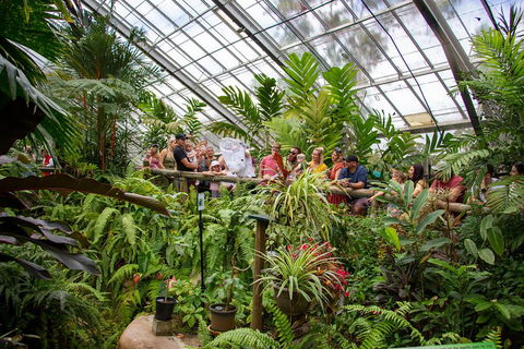 Australian Butterfly Sanctuary - Darwin Holiday 0