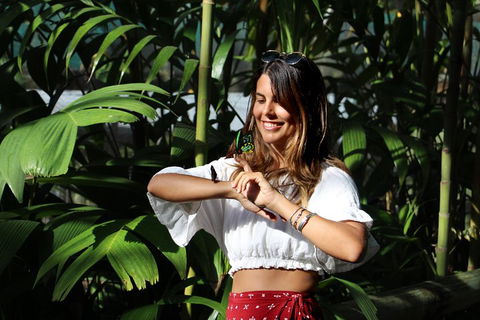 Australian Butterfly Sanctuary - Darwin Holiday 1