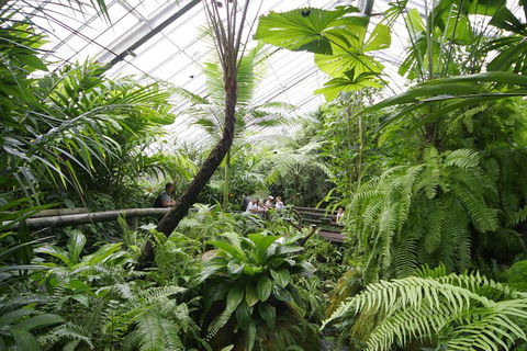 Australian Butterfly Sanctuary - Darwin Holiday 3