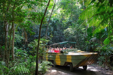 Kuranda Highlights Including Rainforestation Aboriginal Culture And Wildlife - Darwin Holiday 2