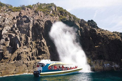 Full-Day Bruny Island Cruises Day Tour From Hobart - Darwin Holiday 4