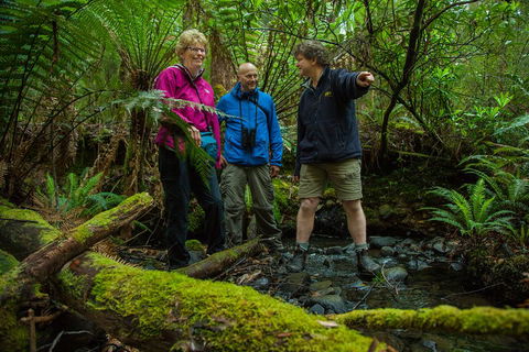 Bruny Island Traveller - Gourmet Tasting And Sightseeing Day Trip From Hobart - Darwin Holiday 1