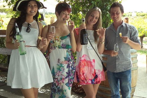 1/2 Day Swan Valley Wine Cheese & Chocolate Tour Inc Afternoon Cruise To Perth - Darwin Holiday 4