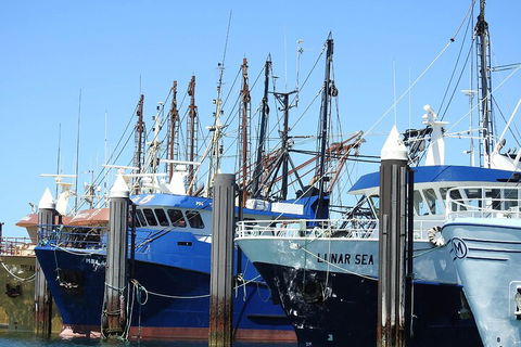One Day Port Lincoln Tour - Tasting Eyre - Darwin Holiday 0