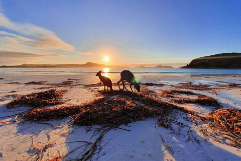 10-Day Perth To Adelaide Adventure Tour - Darwin Holiday 1