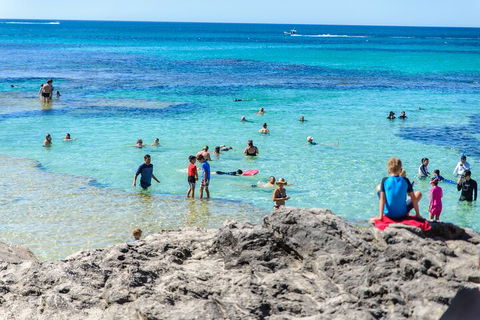 Rottnest Island Roundtrip Fast Ferry From Hillarys Boat Harbour - Darwin Holiday 1