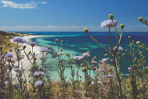 Rottnest Island Full-Day Trip With Guided Island Tour From Perth - Darwin Holiday 2