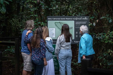 Sunshine Coast Hinterland And Noosa Day Trip From Brisbane Including Eumundi Markets And Ginger Factory - Darwin Holiday 0