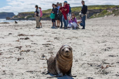 Kangaroo Island In A Day Tour From Adelaide - Darwin Holiday 0