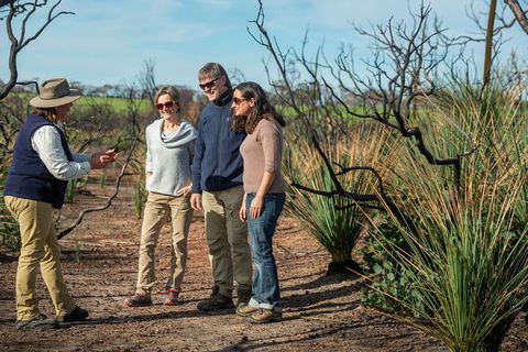 NEW TOUR - Kangaroo Island Road To Recovery Tour (1 Day/1 Night) - Darwin Holiday 4