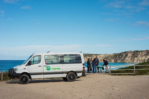 Full Day Flinders Chase Tour From Kangaroo Island - Darwin Holiday 3