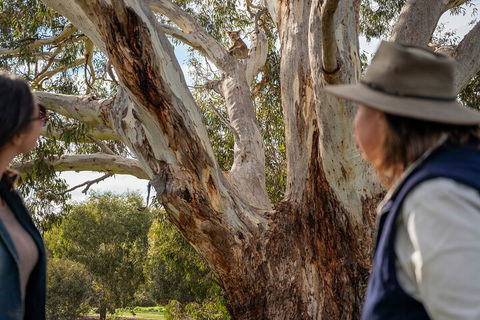 Full Day Flinders Chase Tour From Kangaroo Island - Darwin Holiday 5