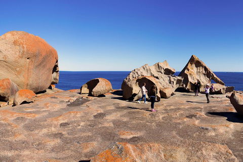 Full-Day Kangaroo Island Experience Departing From Kangaroo Island - Darwin Holiday 4