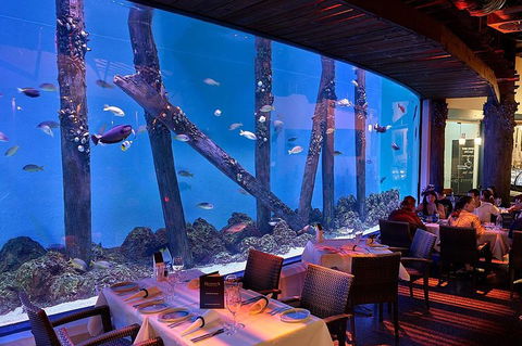 Cairns Aquarium And Small Group City Sightseeing Tour - Darwin Holiday 4