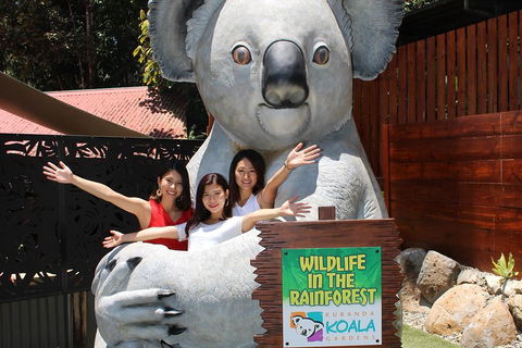 Kuranda Koala Gardens And Birdworld Admission Tickets - Darwin Holiday 3