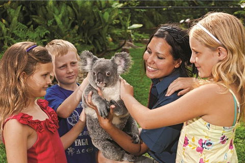 Kuranda Koala Gardens General Entry Ticket - Darwin Holiday 0