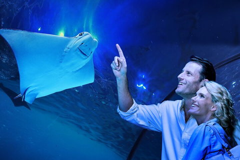 Cairns Aquarium Tour By Twilight With Drink And Appetiser - Darwin Holiday 4