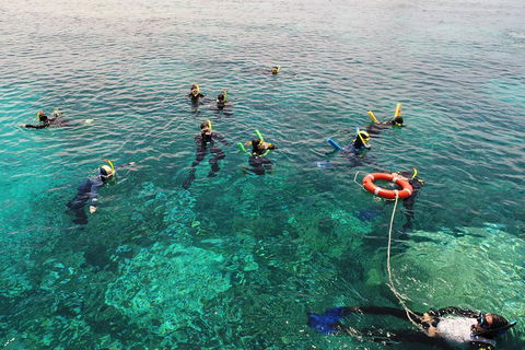 Seastar Luxury Outer Great Barrier Reef Island And Reef Tour From Cairns - Darwin Holiday 2