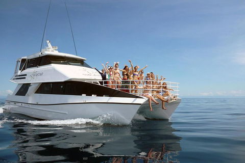 Seastar Luxury Outer Great Barrier Reef Island And Reef Tour From Cairns - Darwin Holiday 4