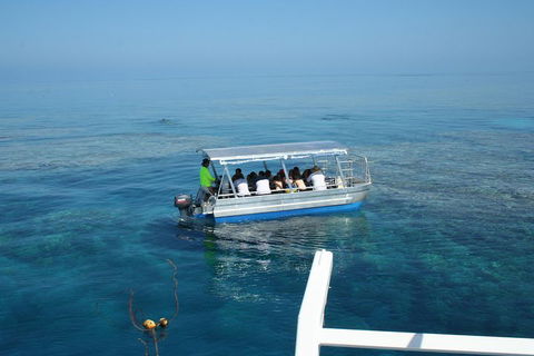 Seastar Luxury Outer Great Barrier Reef Island And Reef Tour From Cairns - Darwin Holiday 5