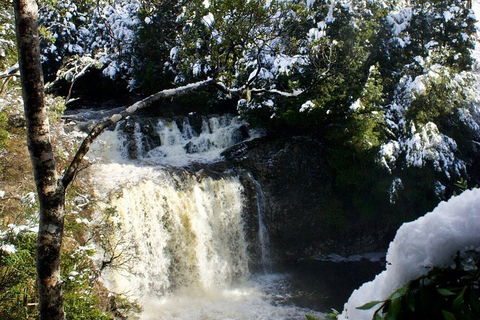 Cradle Mountain Park Explorer Guided Tour - Darwin Holiday 4
