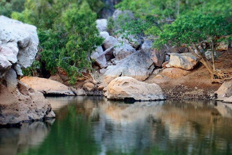 Windjana Gorge And Tunnel Creek 4WD Tour From Broome - Darwin Holiday 5