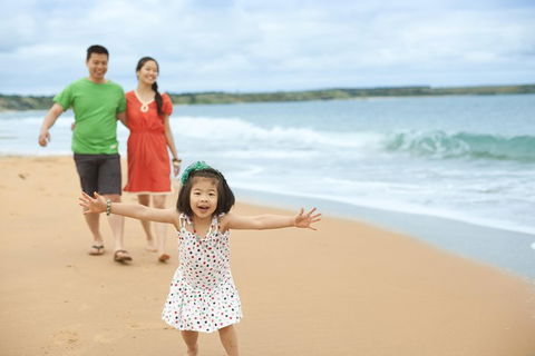 Phillip Island Penguin Parade Day Trip With Koala Conservation Reserve Visit - Darwin Holiday 5