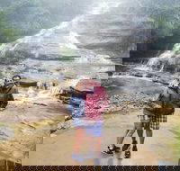 Blue Mountains Day Trip from Sydney with amazing lookouts Private Tour - Darwin Holiday