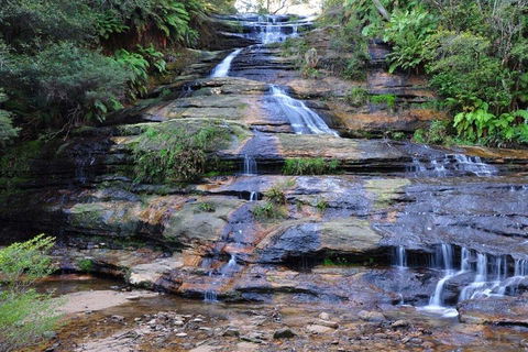 Blue Mountains Day Trip From Sydney With Amazing Lookouts (Private Tour) - Darwin Holiday 4