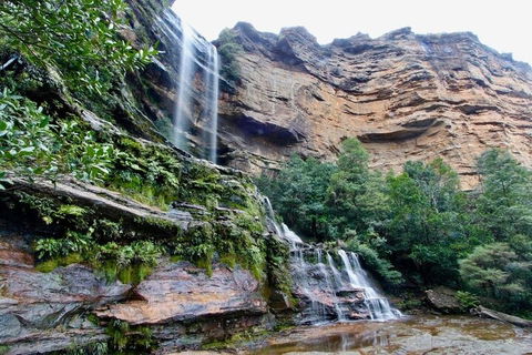 Blue Mountains Sunset Tour | Kangaroos & Koala Encounter (Private Tour) - Darwin Holiday 2