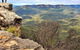 Blue Mountains Sunset Tour | Kangaroos & Koala Encounter (Private Tour) - thumb 4