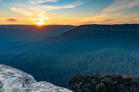 Blue Mountains Sunset Tour | Kangaroos & Koala Encounter (Private Tour) - Darwin Holiday 5