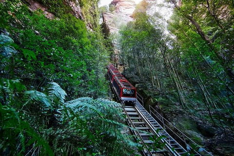 Blue Mountains Private Tour With Kangaroos & Koala Encounter - Darwin Holiday 1