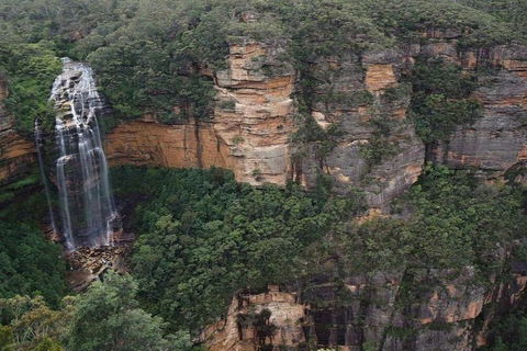 Blue Mountains Private Tour With Kangaroos & Koala Encounter - Darwin Holiday 2