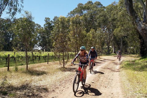 McLaren Vale Wine Tour By Bike - Darwin Holiday 1