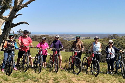 McLaren Vale Wine Tour By Bike - Darwin Holiday 2