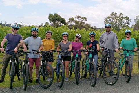 McLaren Vale Wine Tour By Bike - Darwin Holiday 4