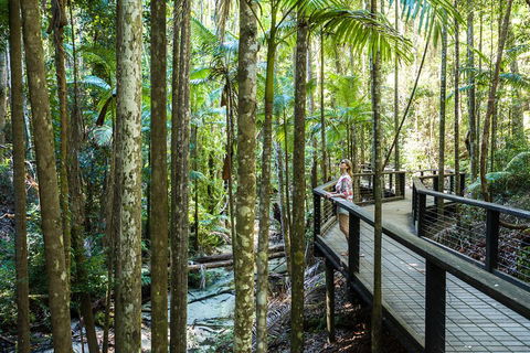 All-Inclusive Fraser Island Day Tour - Darwin Holiday 5