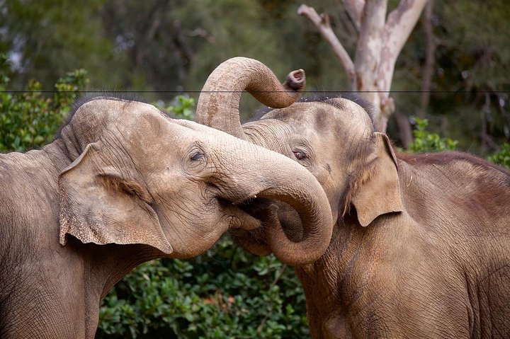 Melbourne VIC Darwin Holiday