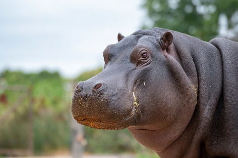 Early Morning Savannah Experience - Darwin Holiday 2